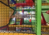IMG_1769